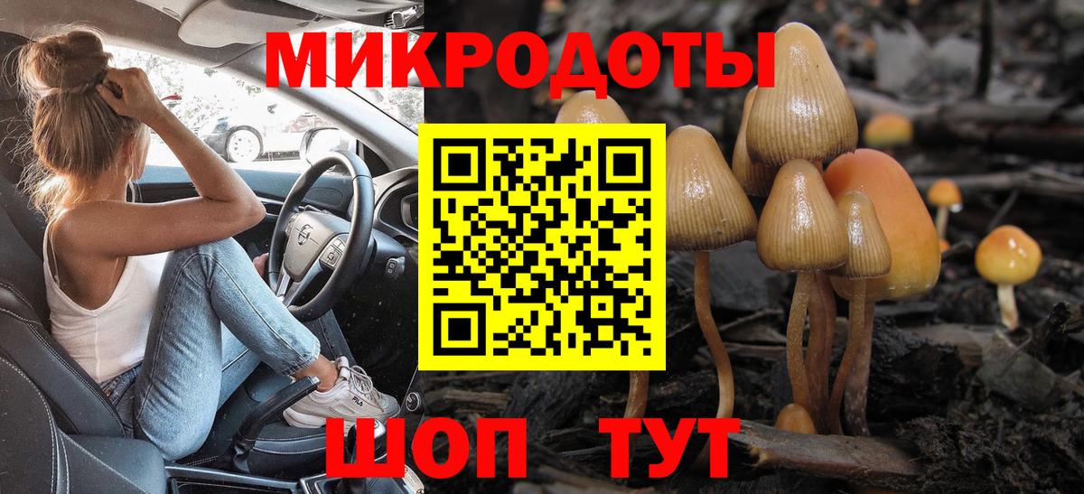 Сыктывкар  Галлюциногенные грибы прущие грибы  Вход с VPN 